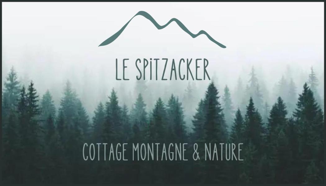 Le Spitzacker Gite Familial Au Calme Husseren-Wesserling Екстер'єр фото